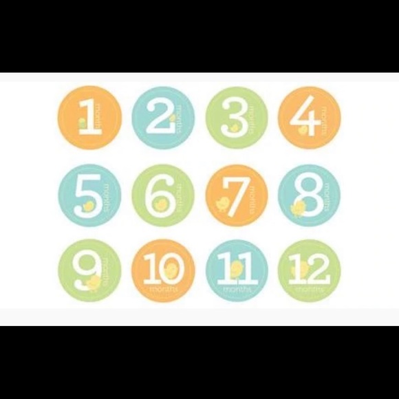 Pearhead Baby’s first year belly stickers - Picture 2 of 2